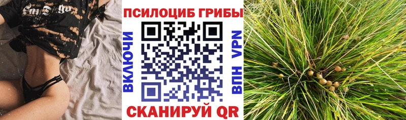 нарко площадка официальный сайт  Зарайск  Псилоцибиновые грибы GOLDEN TEACHER 